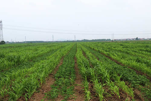 /gb2312/qishiyegonghui/12614.html